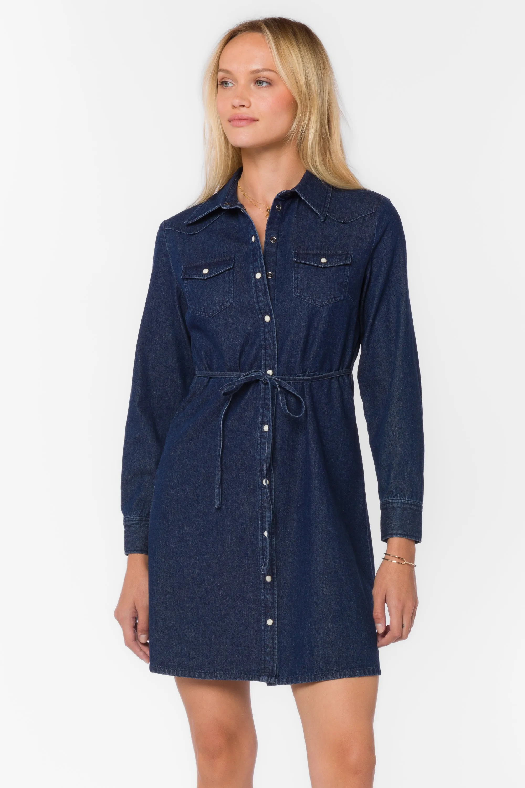 Vera Deep Indigo Dress